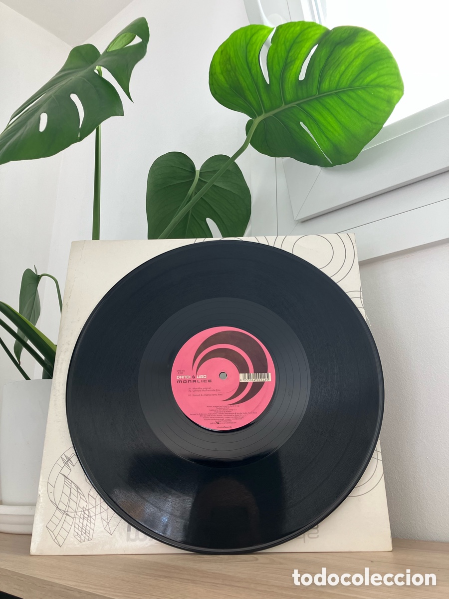 Discos de vinilo: Dandi & Ugo -MonAlice - Foto 1