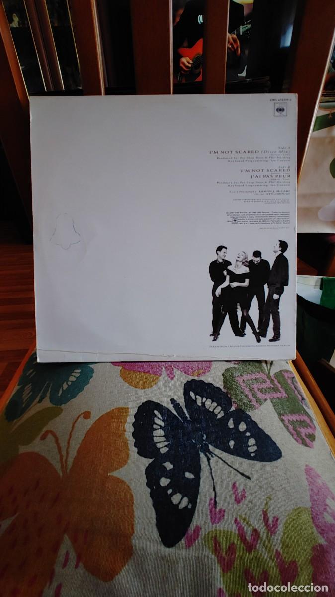 Discos de vinilo: EIGHTH WONDER-MAXI IM NOT SCARED - Foto 3