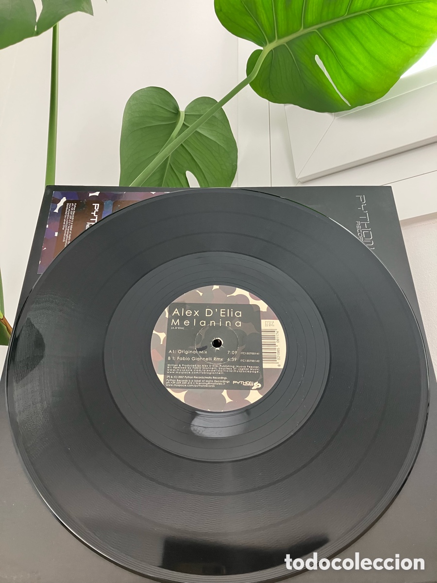 Discos de vinilo: Alex D&rsquo;Elia - Melanina - Foto 2