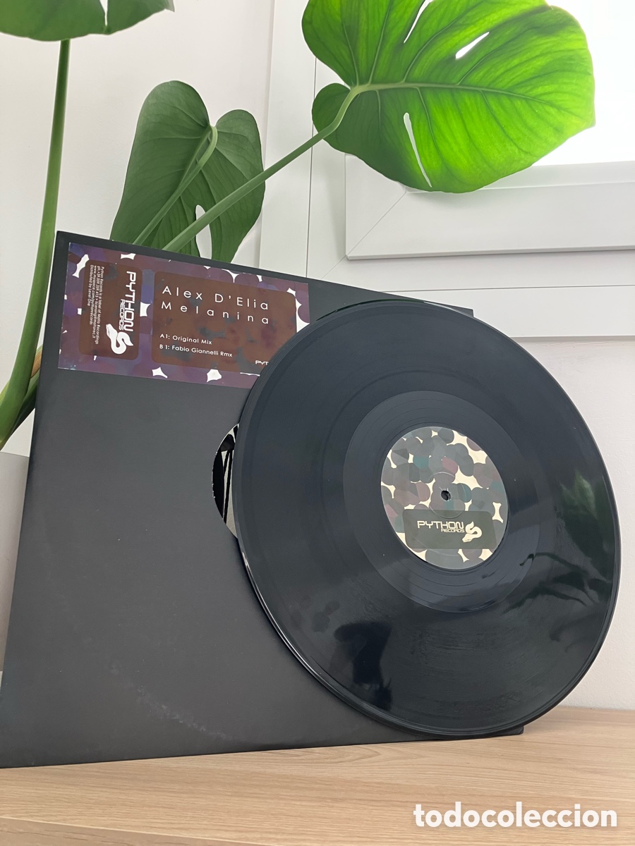 Discos de vinilo: Alex D&rsquo;Elia - Melanina - Foto 3