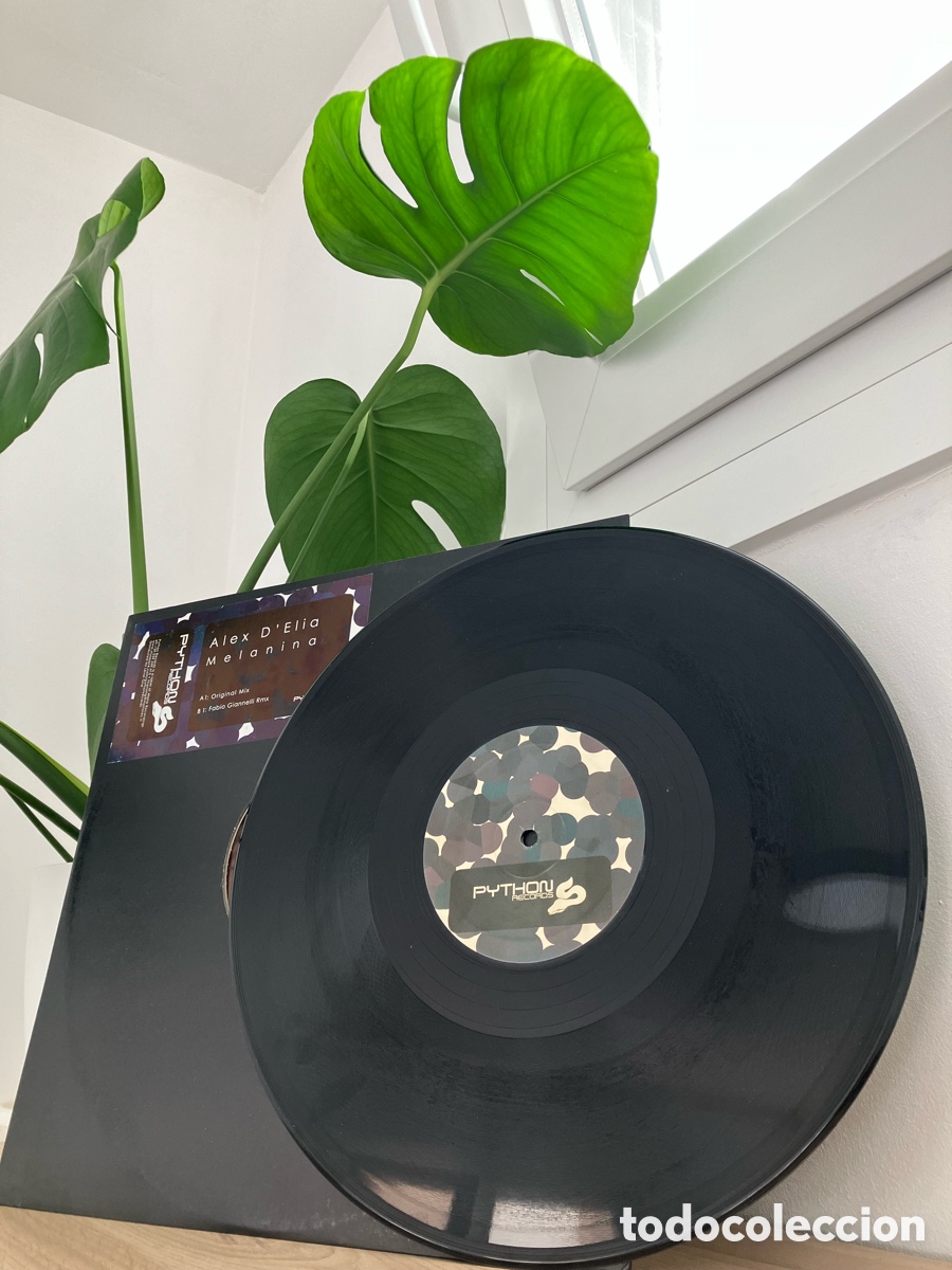 Discos de vinilo: Alex D&rsquo;Elia - Melanina - Foto 4
