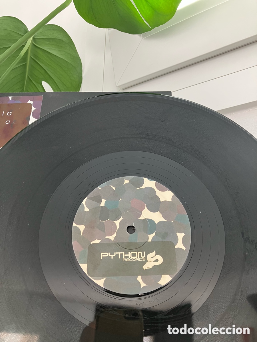 Discos de vinilo: Alex D&rsquo;Elia - Melanina - Foto 5