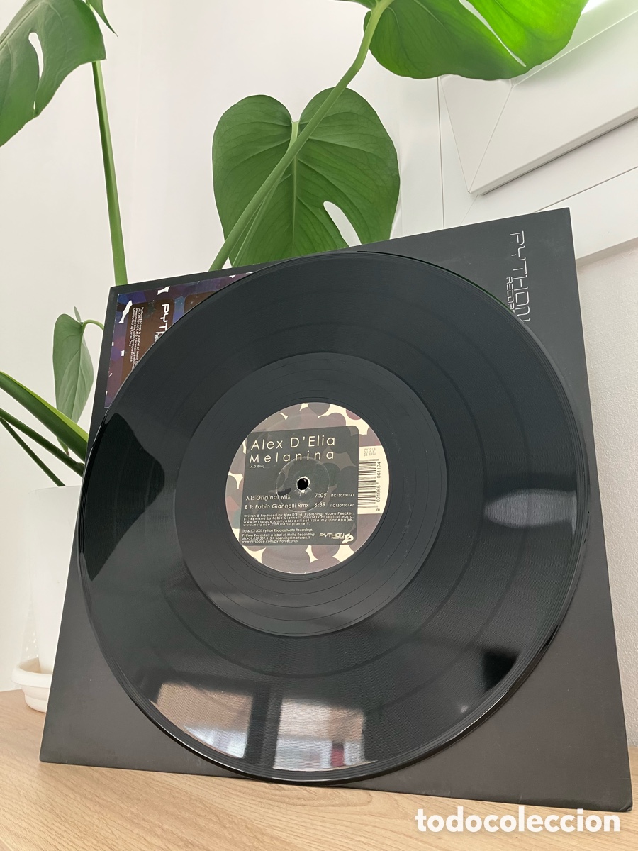 Discos de vinilo: Alex D&rsquo;Elia - Melanina - Foto 1