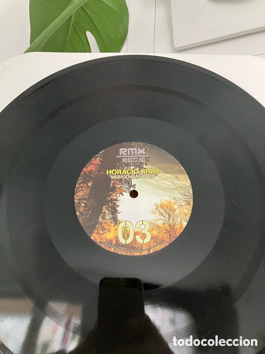 Discos de vinilo: Axel Karakasis-Nerve Surge - Foto 1