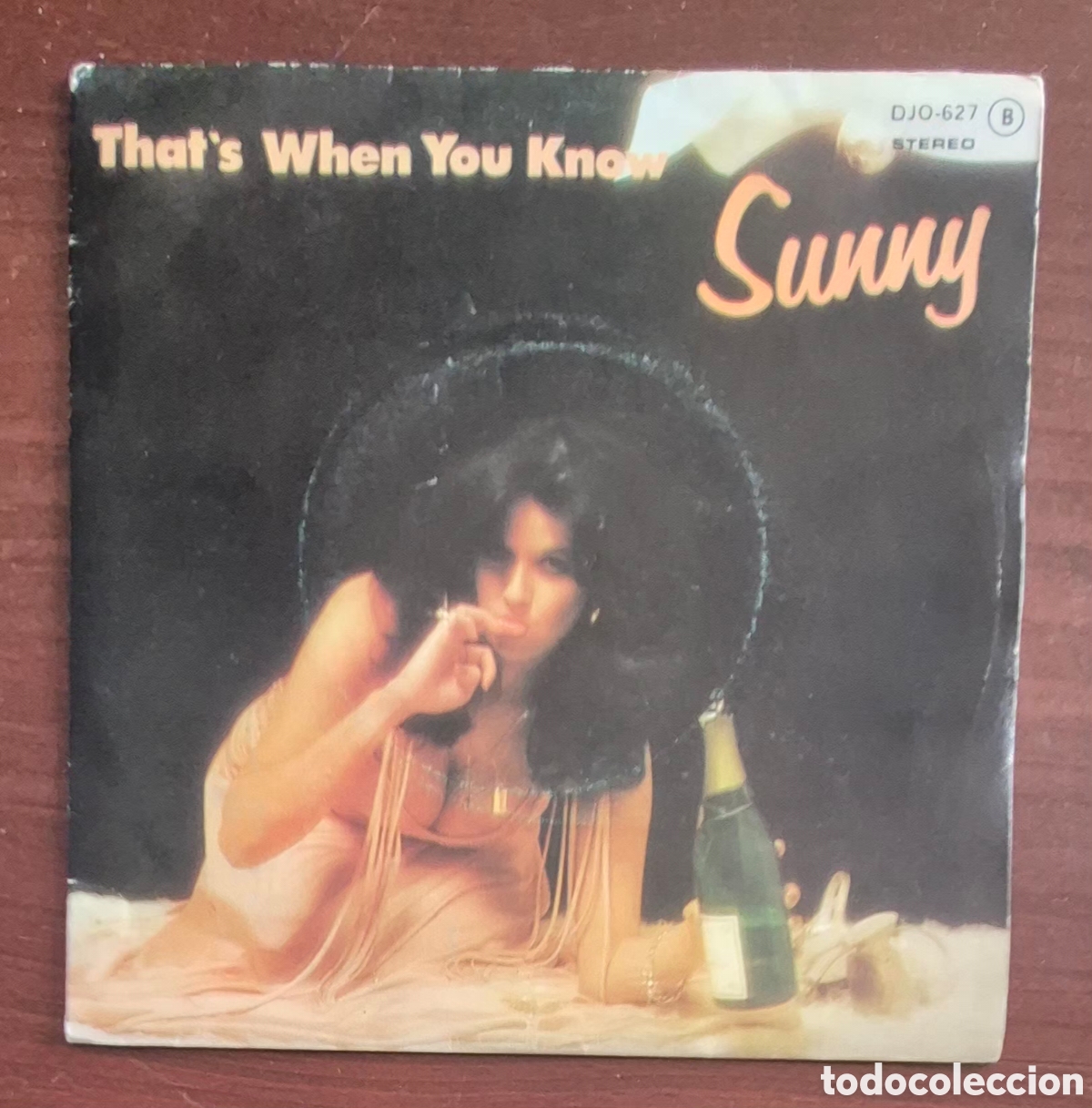 Discos de vinilo: SINGLE - SUNNY - THATS WHEN YOU KNOW - 1979 ESPA&Ntilde;A - Foto 1