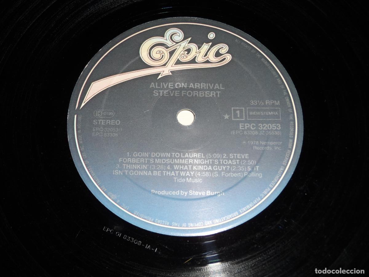 Discos de vinilo: Steve Forbert &ndash; Alive On Arrival (HOLLAND 1978) - Foto 3