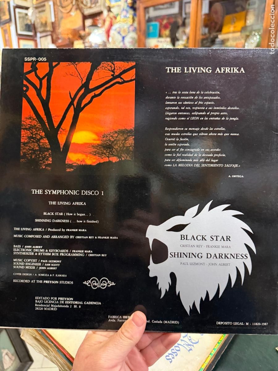Discos de vinilo: LP THE LIVING AFRIKA - Foto 2