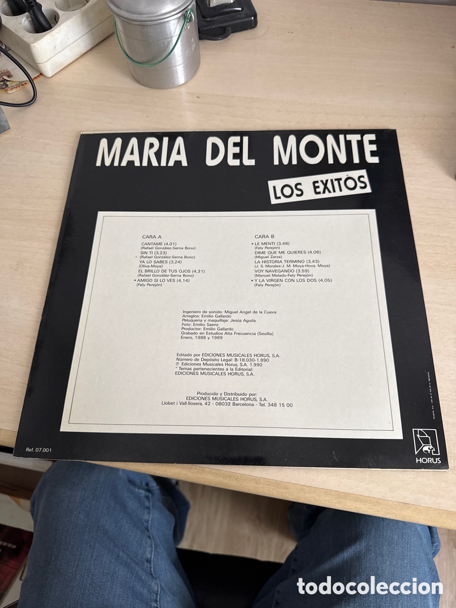 Discos de vinilo: DISCO VINILO MAR&Iacute;A DEL MONTE LOS EXITOS VOL.1 1990 - Foto 4