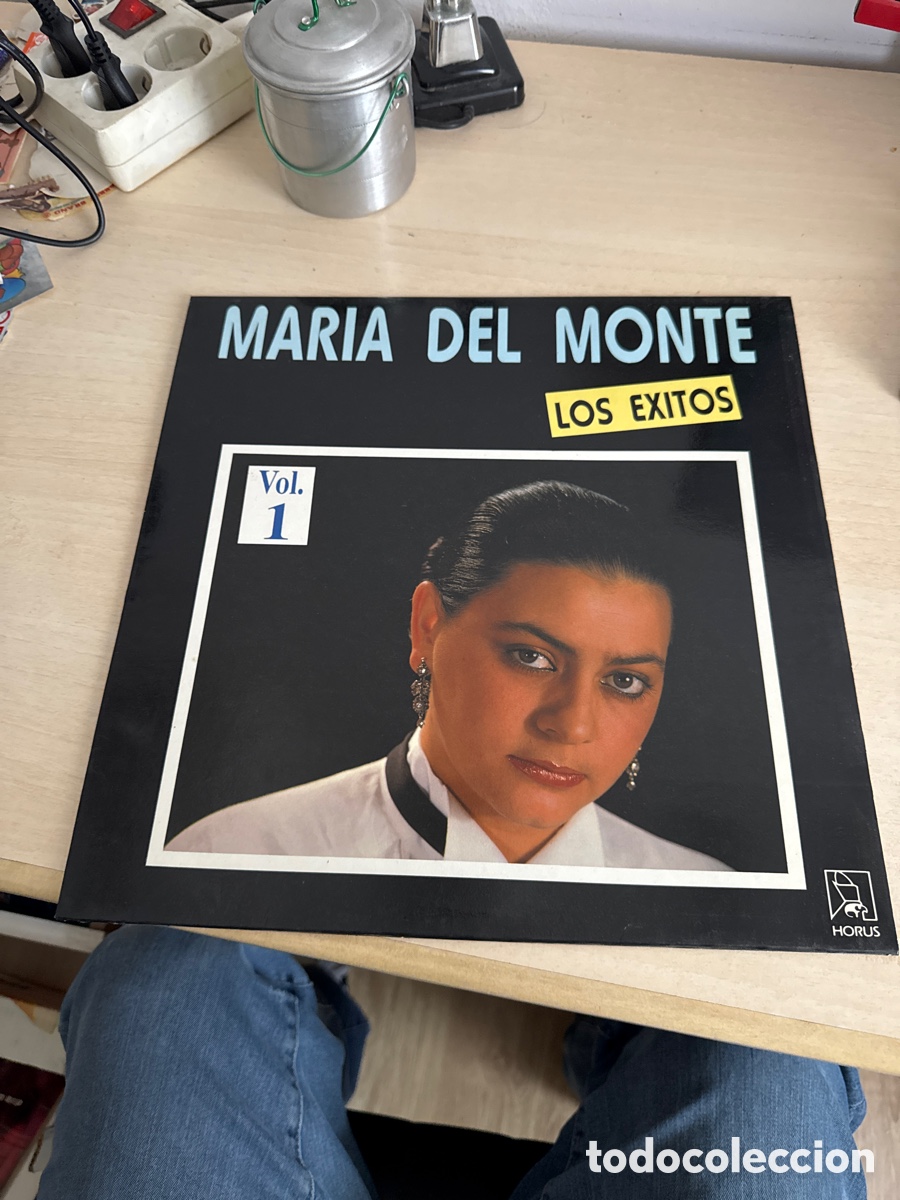 Discos de vinilo: DISCO VINILO MAR&Iacute;A DEL MONTE LOS EXITOS VOL.1 1990 - Foto 1