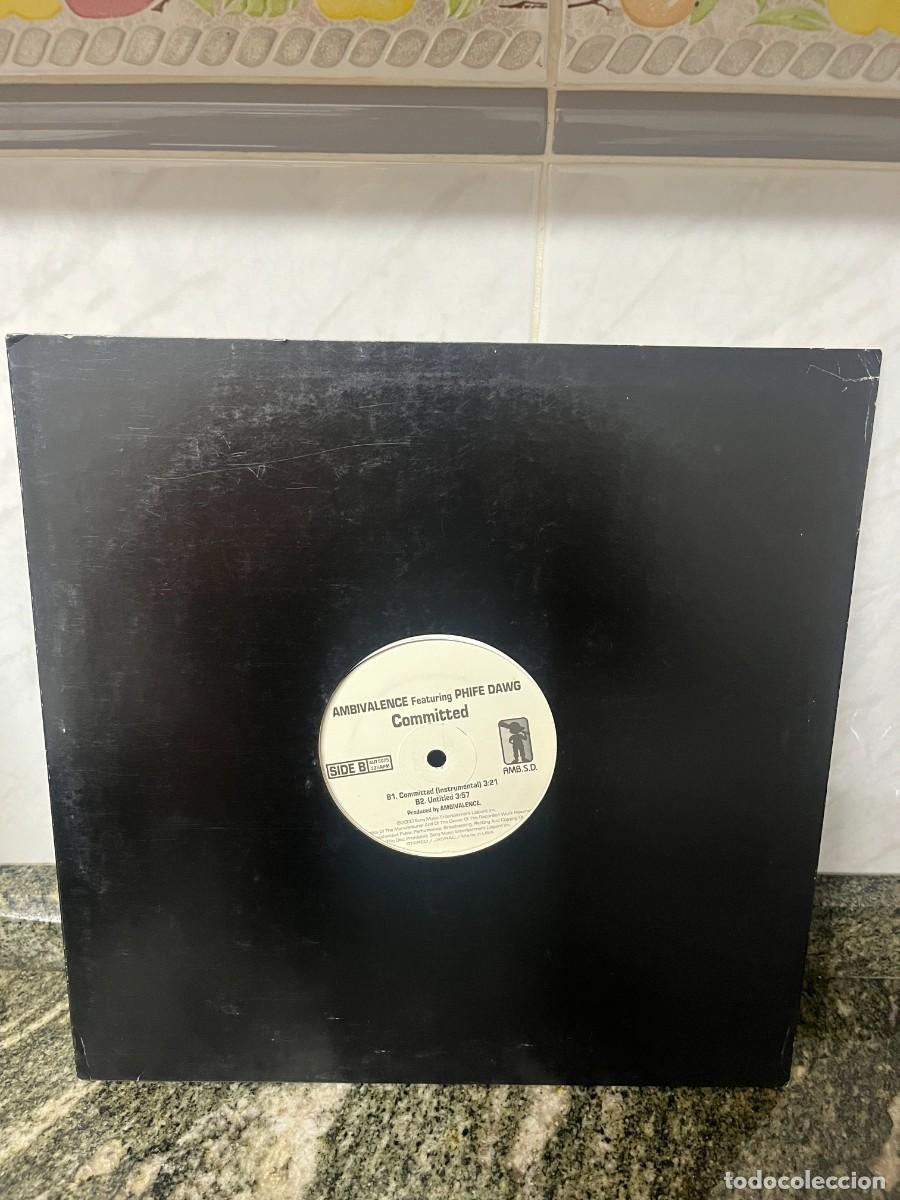Discos de vinilo: Ambivalence Featuring Phife Dawg Committed - Foto 1
