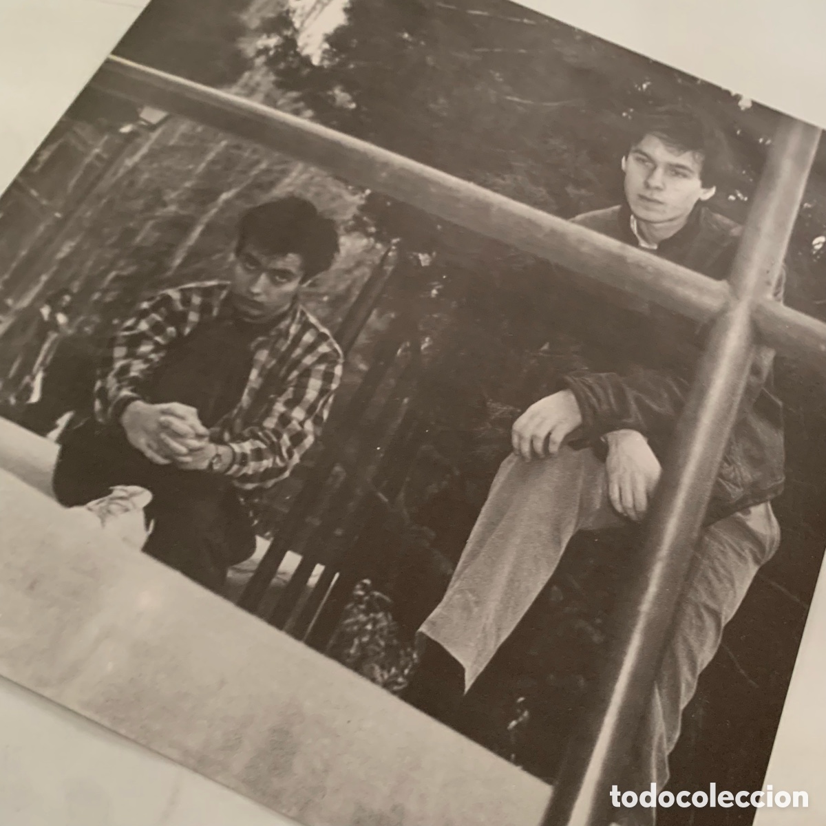 Discos de vinilo: lp La Dama Se Esconde &ndash; Avestruces de 1985 - Foto 4