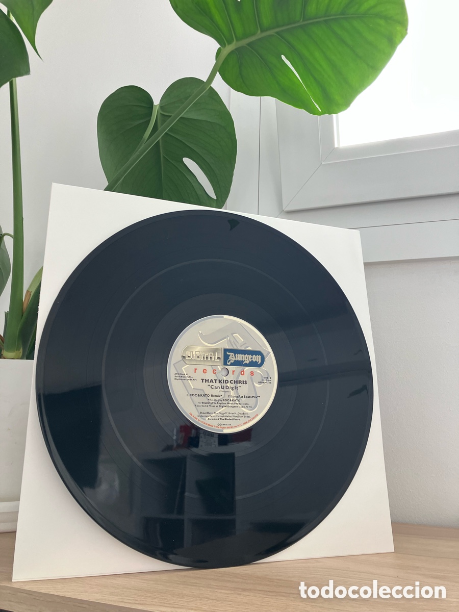 Discos de vinilo: That Kid Chris - Can U Dig It - Foto 1