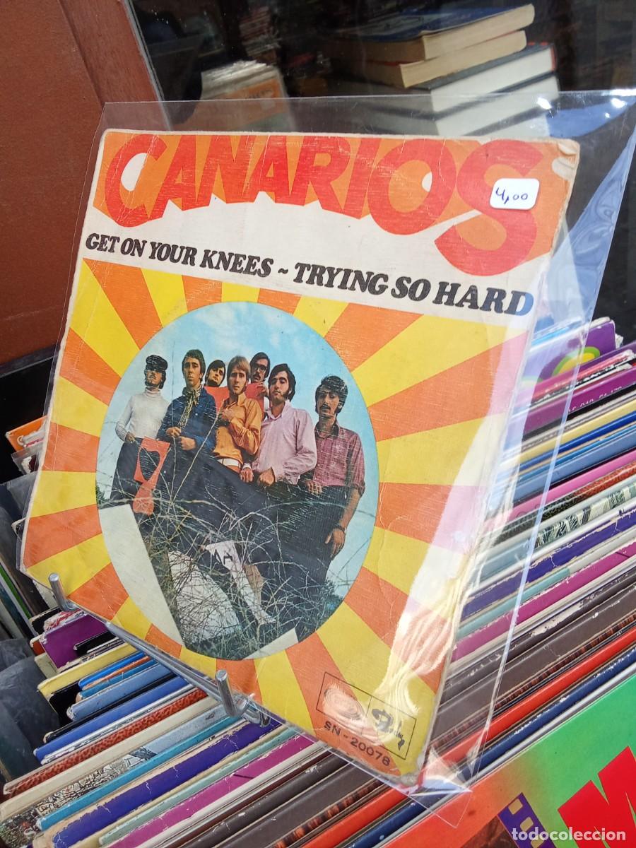 Discos de vinilo: Canarios. Get on your knees - Foto 1