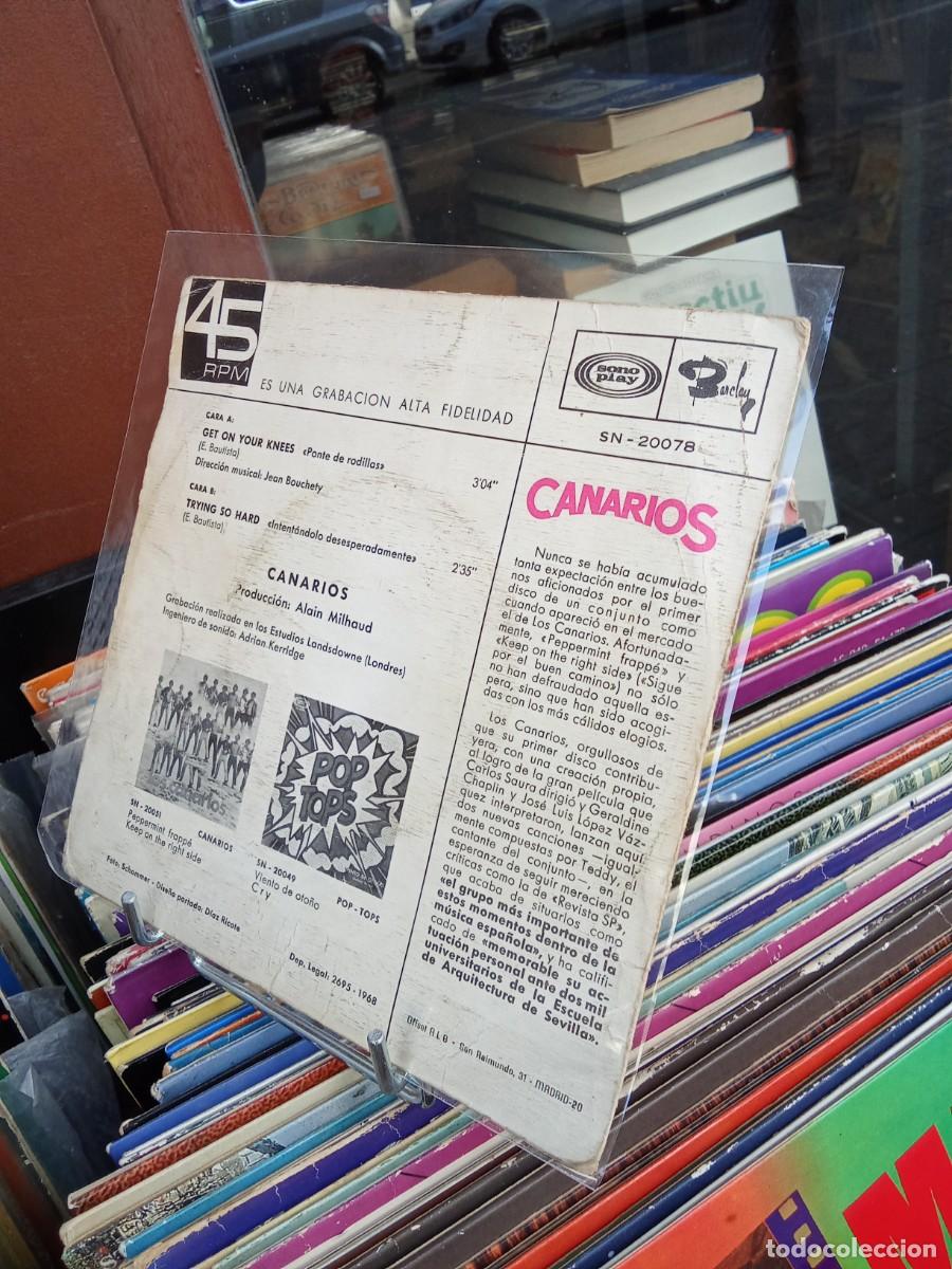 Discos de vinilo: Canarios. Get on your knees - Foto 2