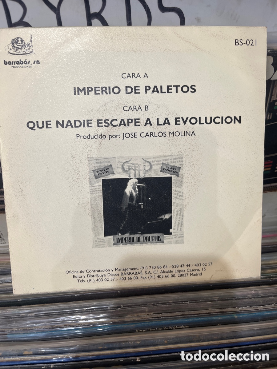 Discos de vinilo: &ntilde;u imperio de paletos - Foto 2