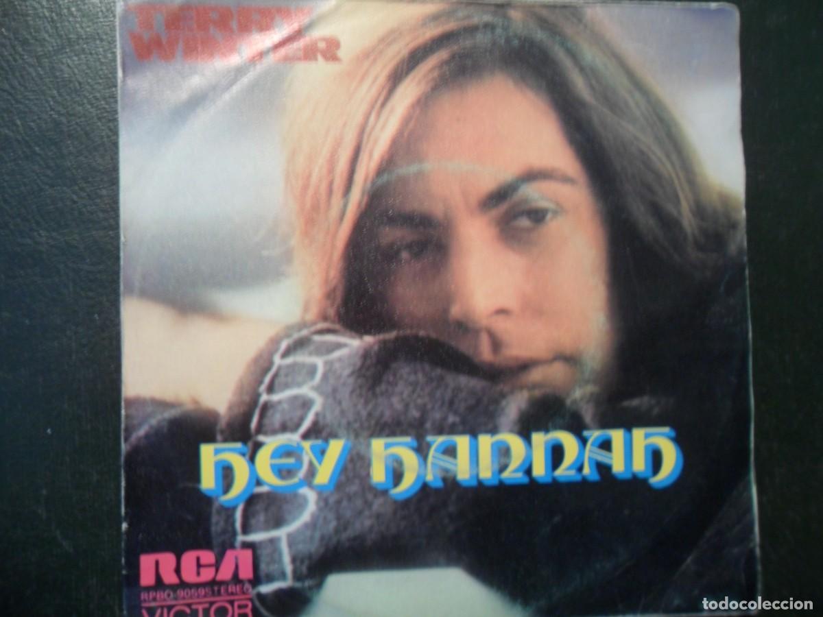 Discos de vinilo: TERRY WINTER HEY HANNAH - Foto 1