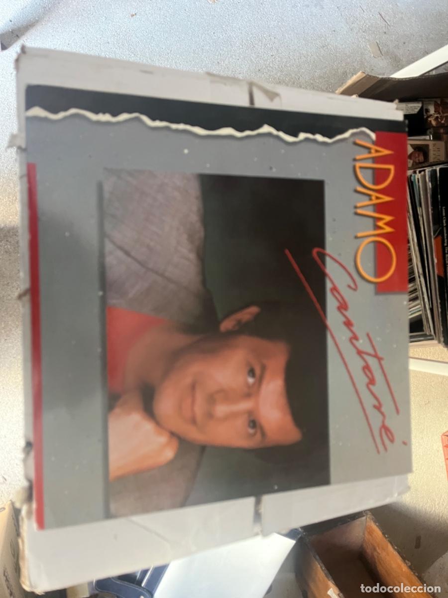 Discos de vinilo: ADAMO. CANTAR&Eacute;. LP en buen estado. - Foto 1