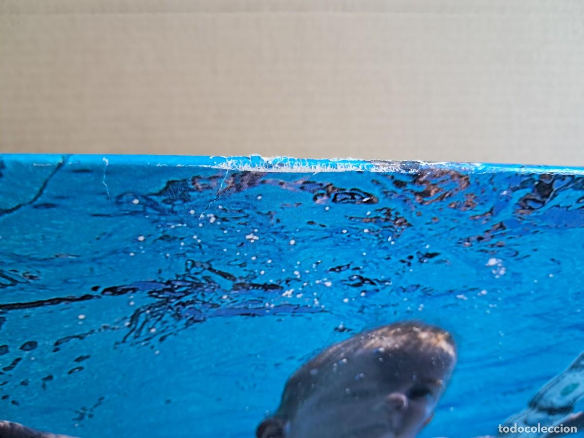 Discos de vinilo: NIRVANA - NEVERMIND LP 1991 EDICION ESPA&Ntilde;OLA - Foto 5