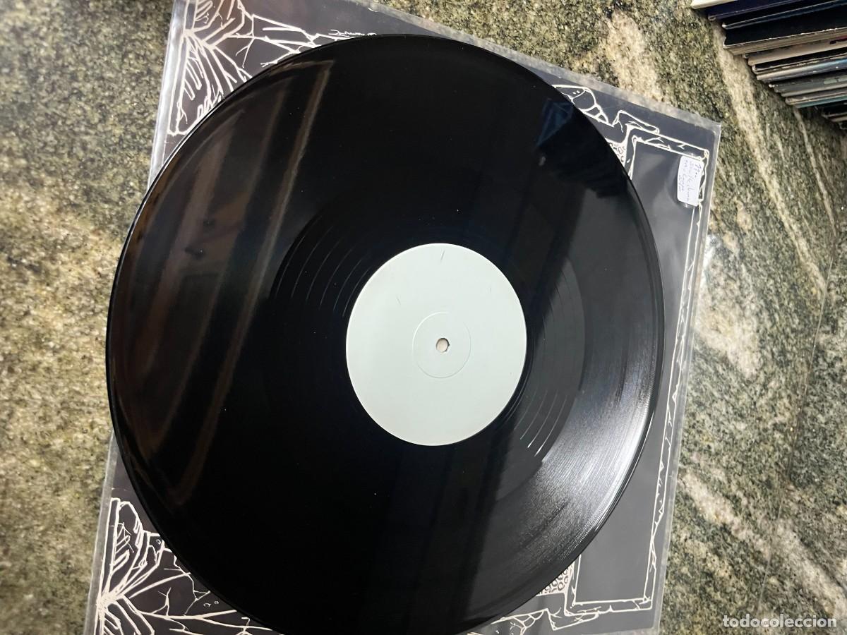 Discos de vinilo: Carpe Diem III - Snakecharmer - Foto 2