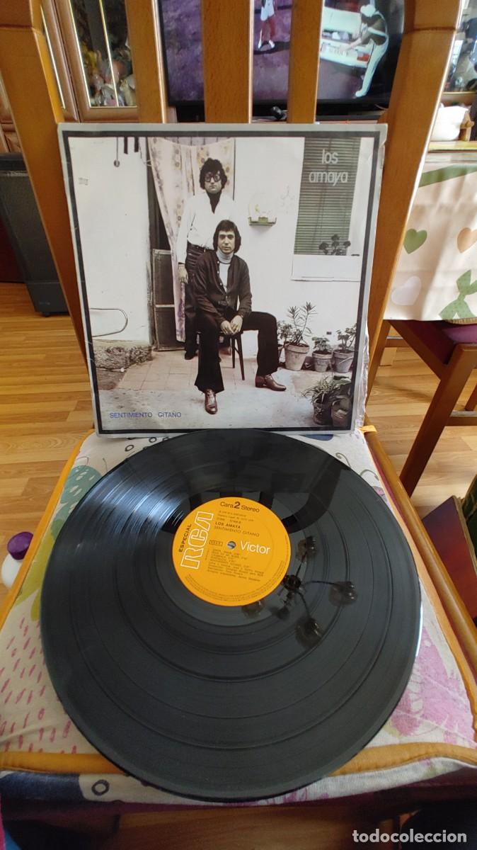 Discos de vinilo: LOS AMAYA-LP SENTIMIENTO GITANO - Foto 1