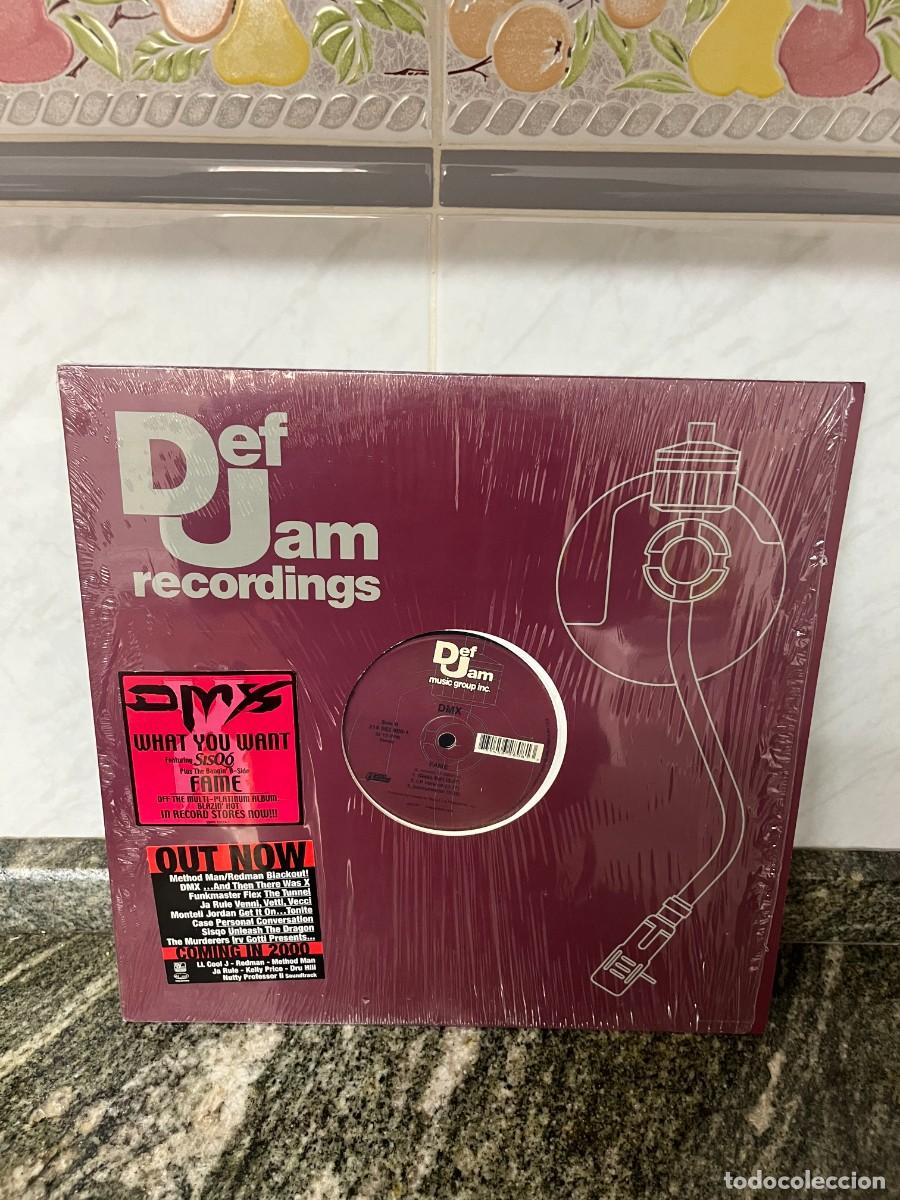 Discos de vinilo: DMX What You Want maxi - Foto 1
