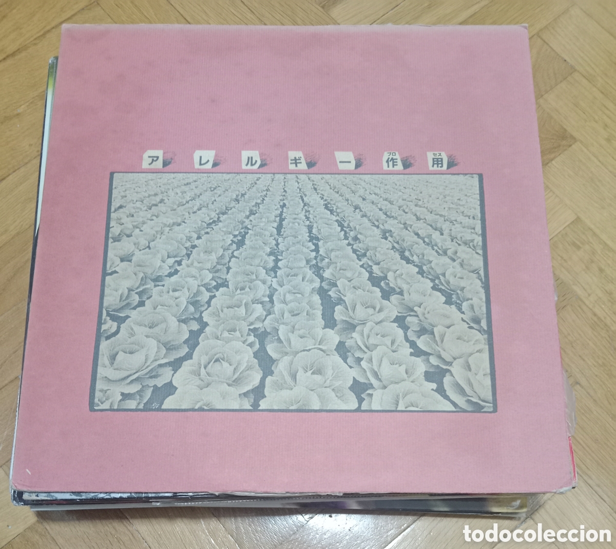 Discos de vinilo: Allergy - Allergy process Japan - Foto 1