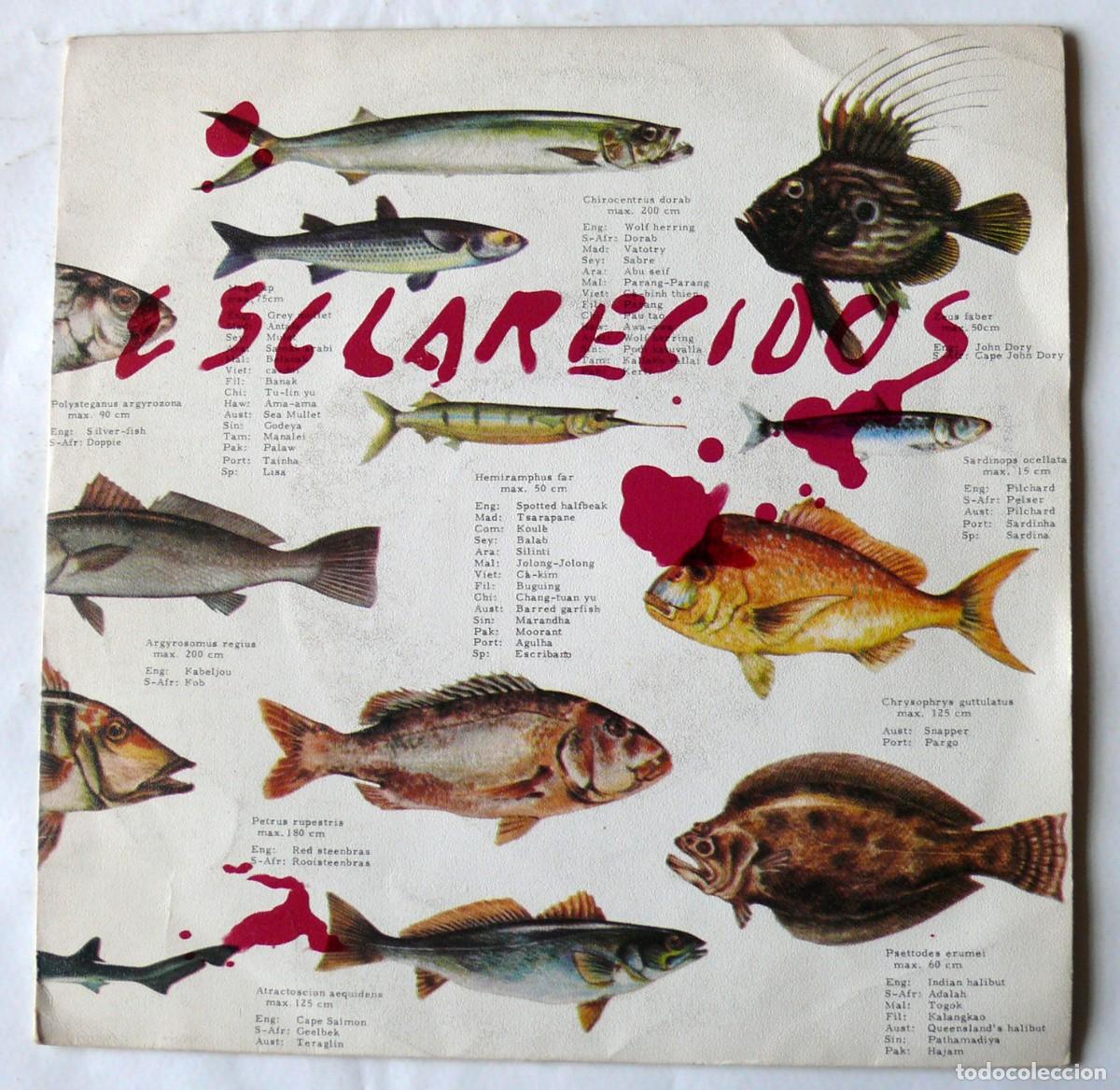 Discos de vinilo: Esclarecidos - Arponera - Single - Foto 1