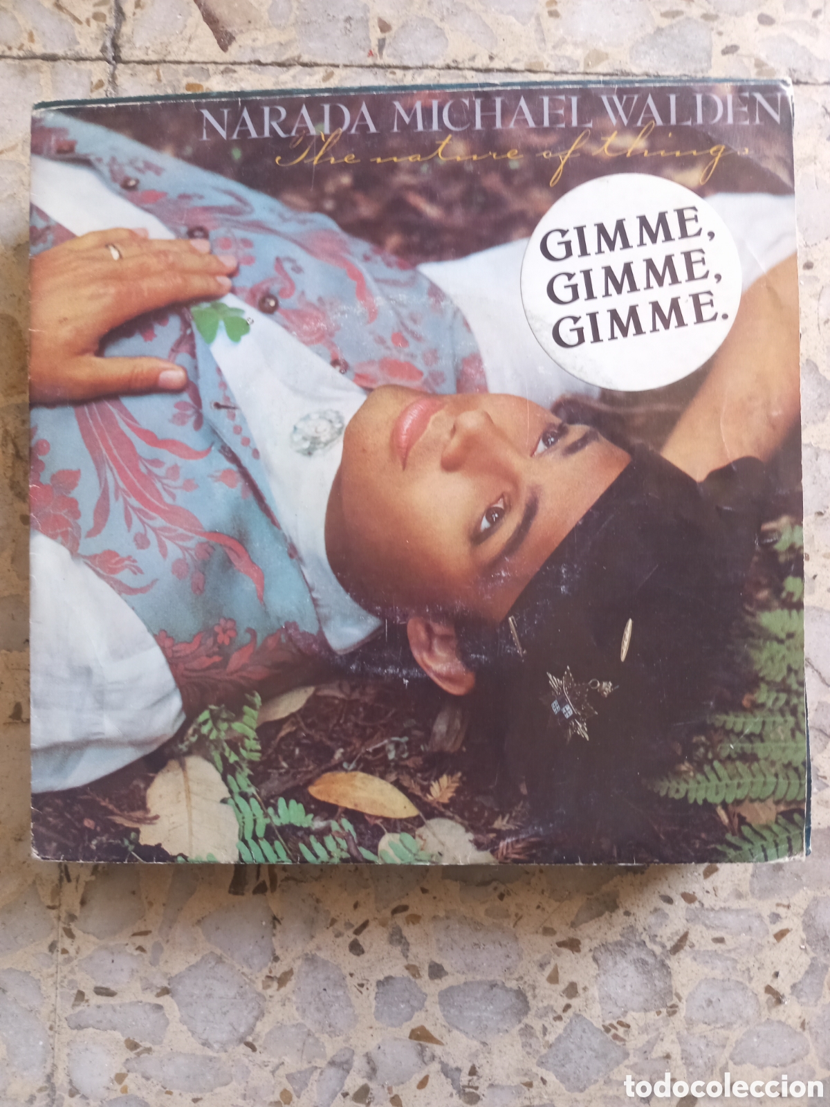 Discos de vinilo: SGL NARADA MICHAEL WALDEN THE NATURE OF THINGS 1985