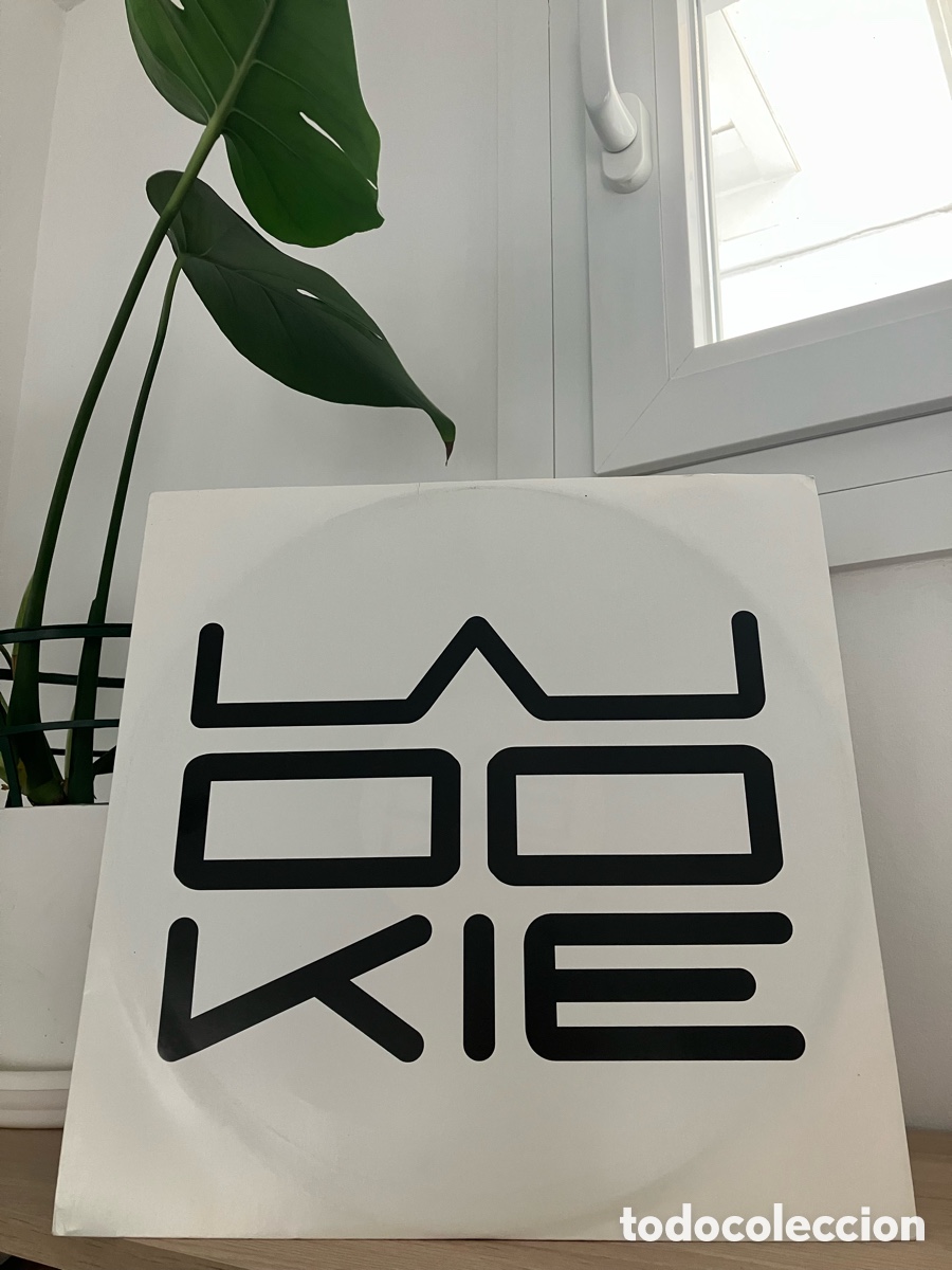 Discos de vinilo: Wookie Ft Rachel K Collier - 2 Us