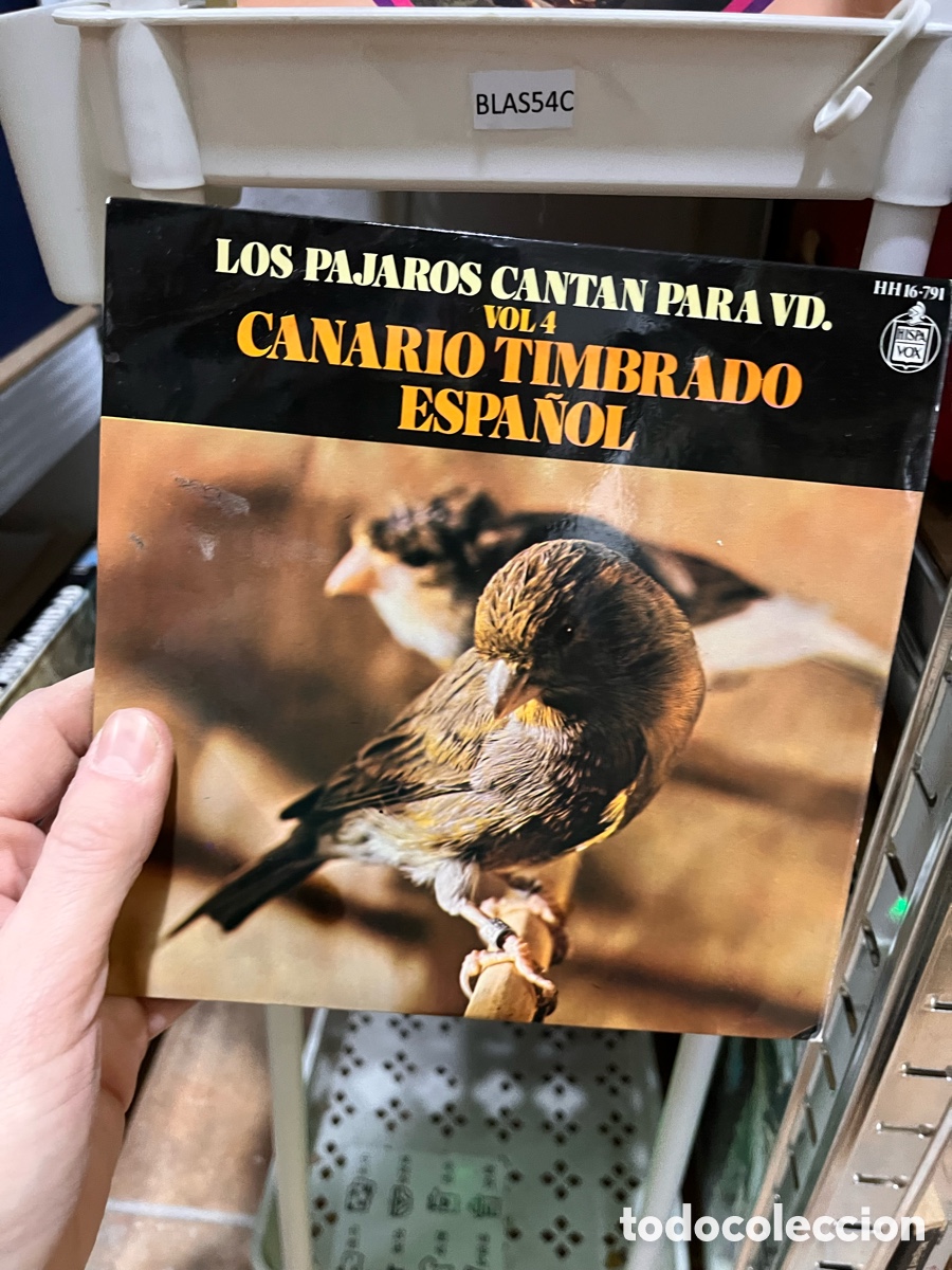 Discos de vinilo: BLAS54C vinilo ep LOS PAJAROS CANTAN PARA VD. VOL 4 CANARIO TIMBRADO ESPA&Ntilde;OL