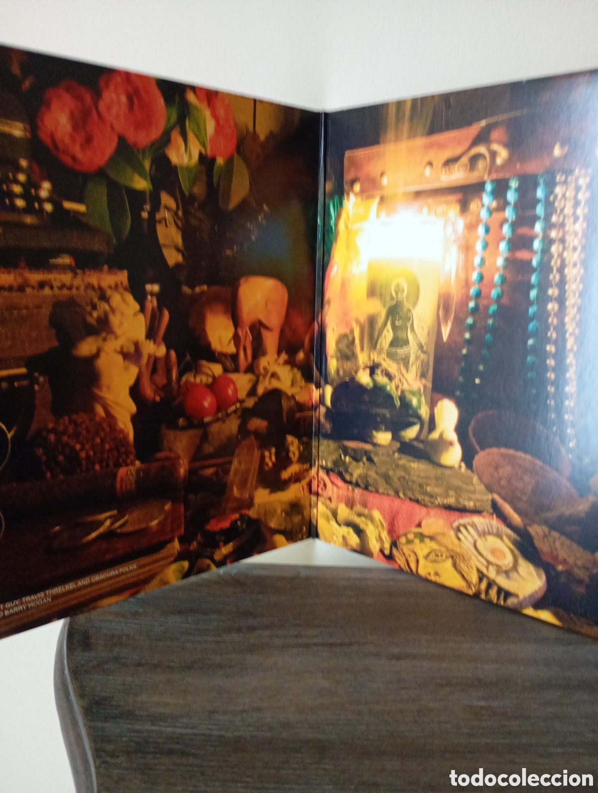Discos de vinilo: Sleepy Sun, Embrace 2009. - Foto 2
