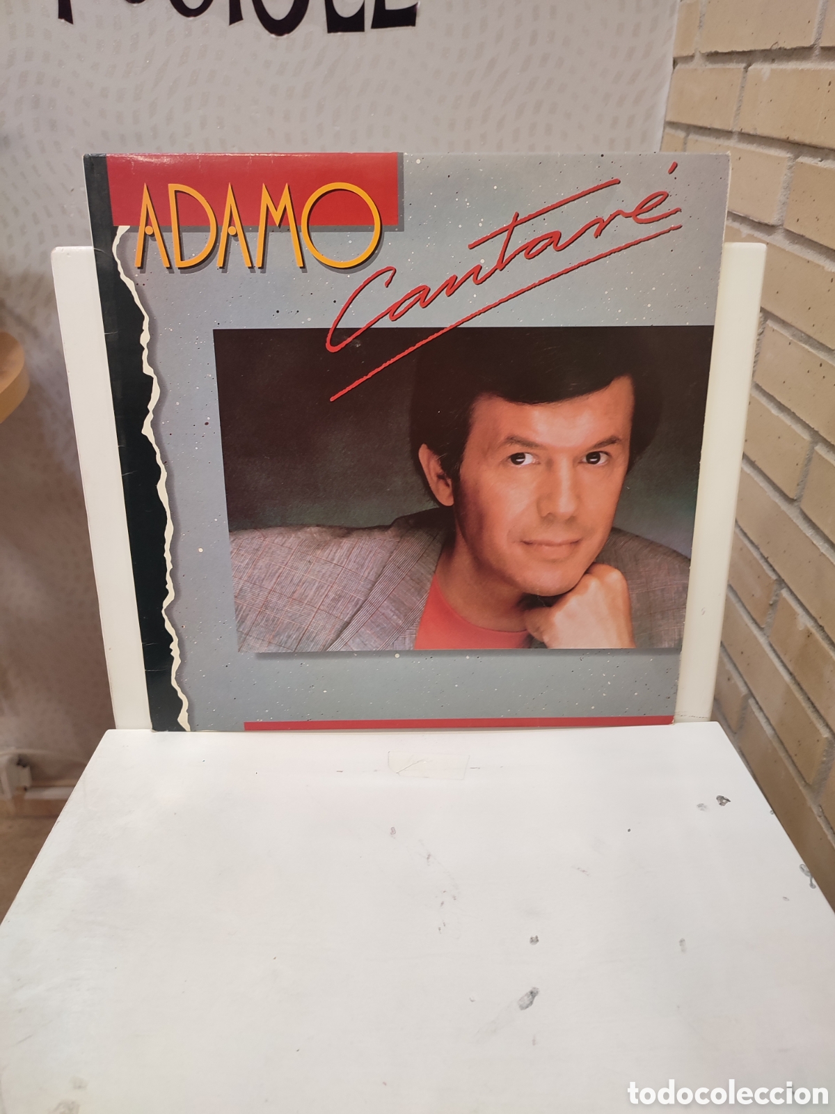 Discos de vinilo: Adamo. &rdquo; Cantar&eacute; &rdquo;. Primera Edici&oacute;n Espa&ntilde;ola. 1990. Hispavox