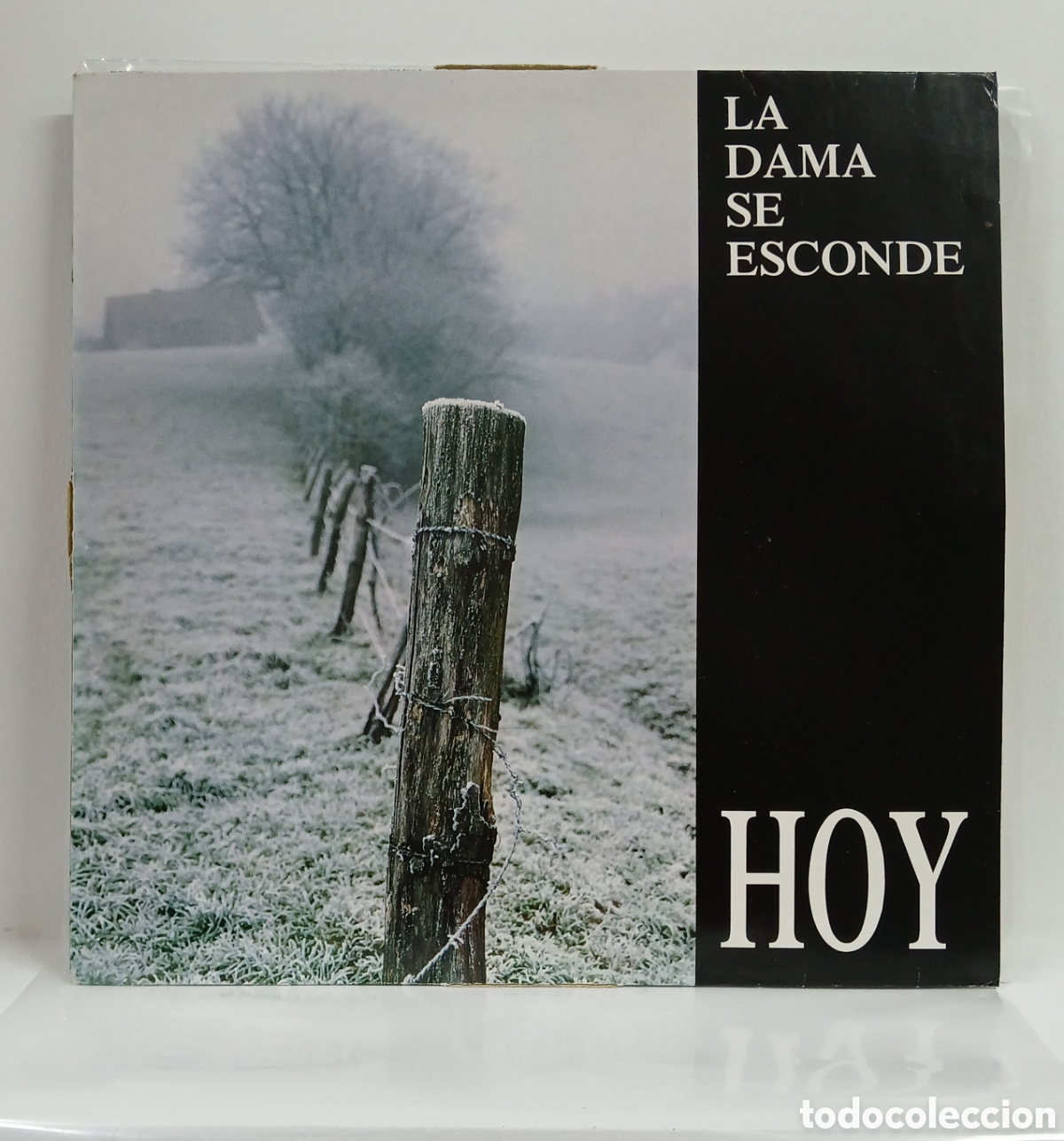 Discos de vinilo: LA DAMA SE ESCONDE &rdquo;HOY&rdquo; LP. ORIG. GERMANY. 1993