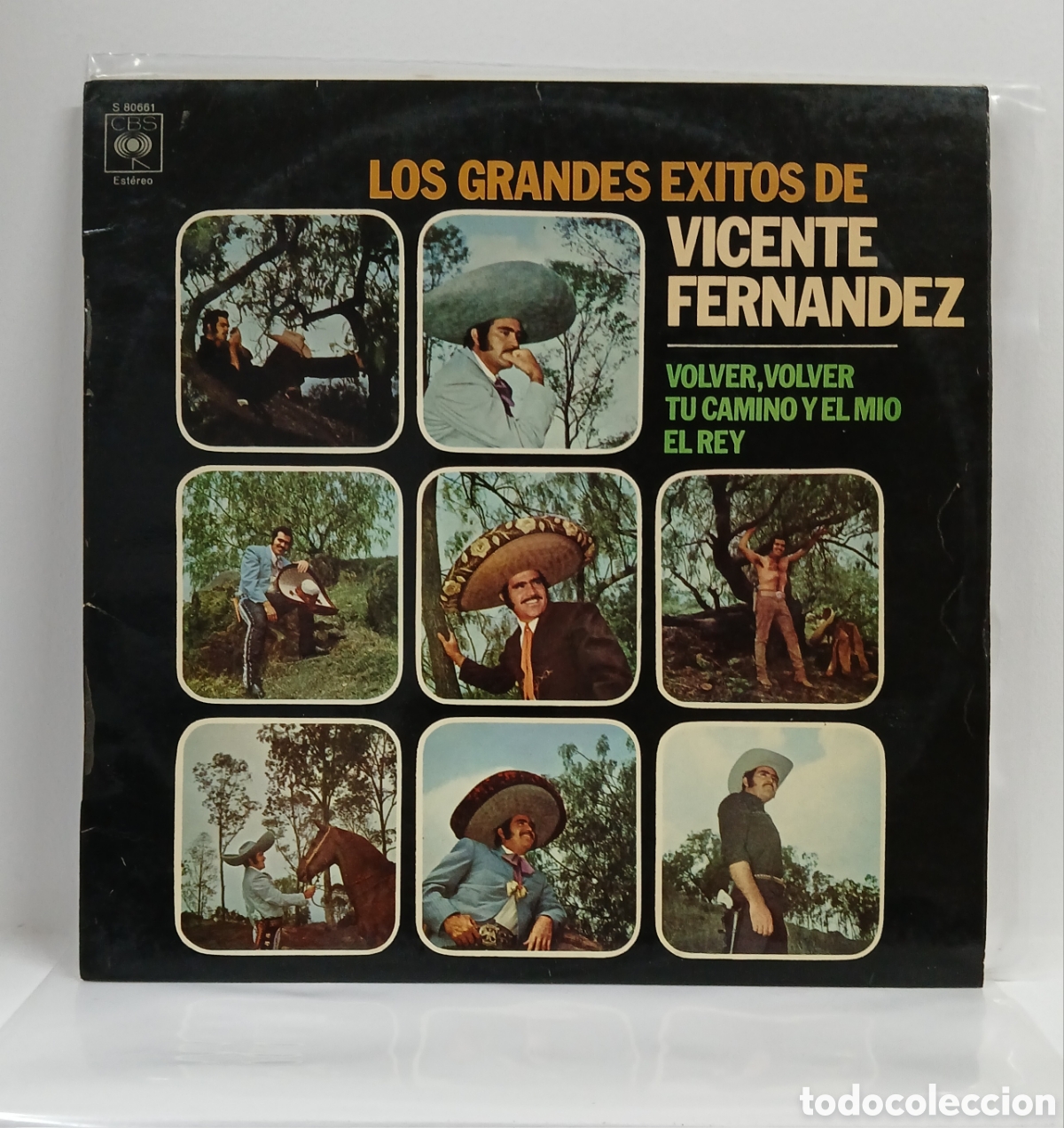 Discos de vinilo: VICENTE FERNANDEZ &rdquo;LOS GRANDES EXITOS DE VICENTE FERNANDEZ&rdquo; LP. COMP. SPAIN. 1975