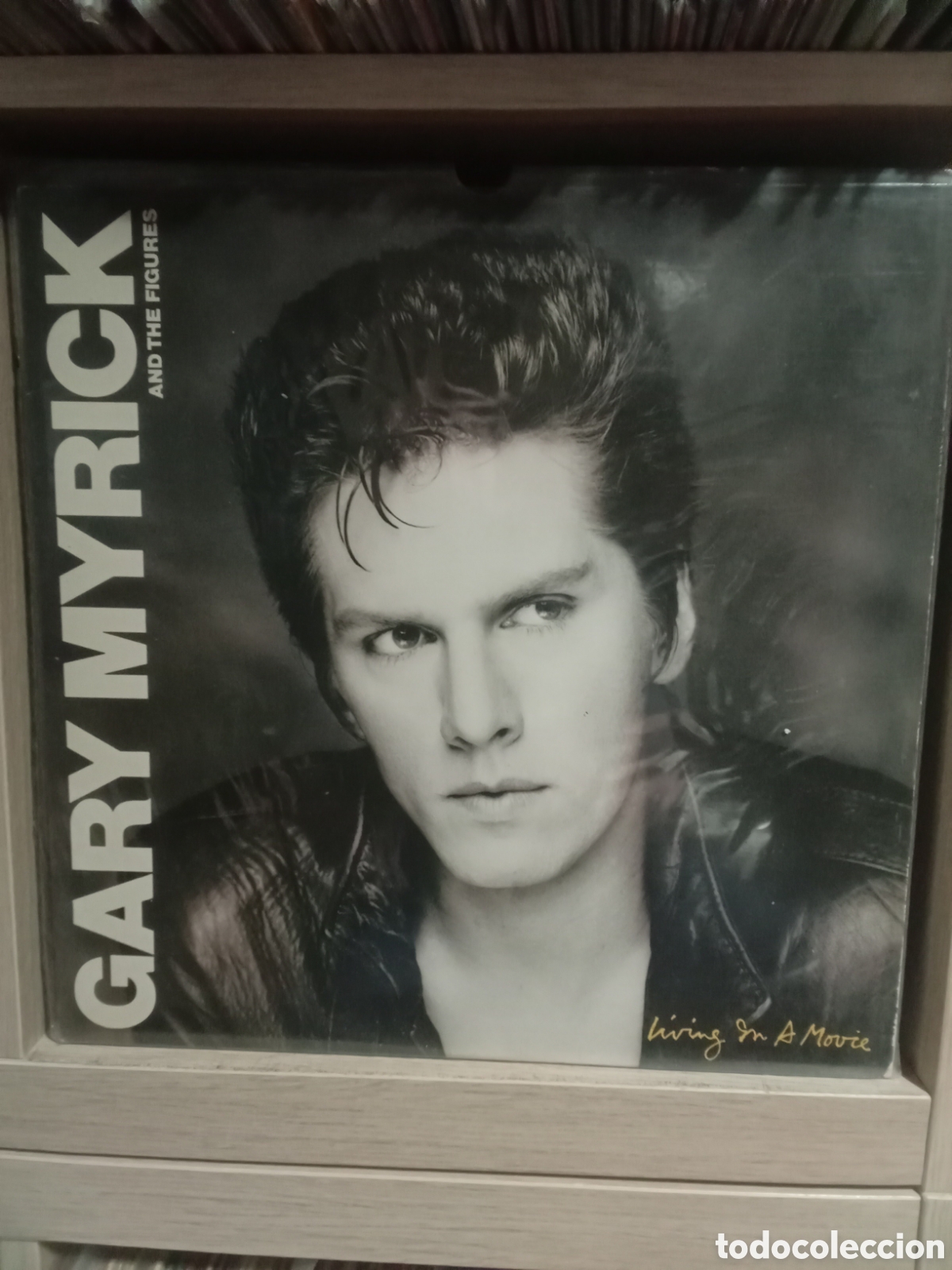 Discos de vinilo: GARY MYRICK and THE FIGURES. Original USA 1980.Muy buen estado