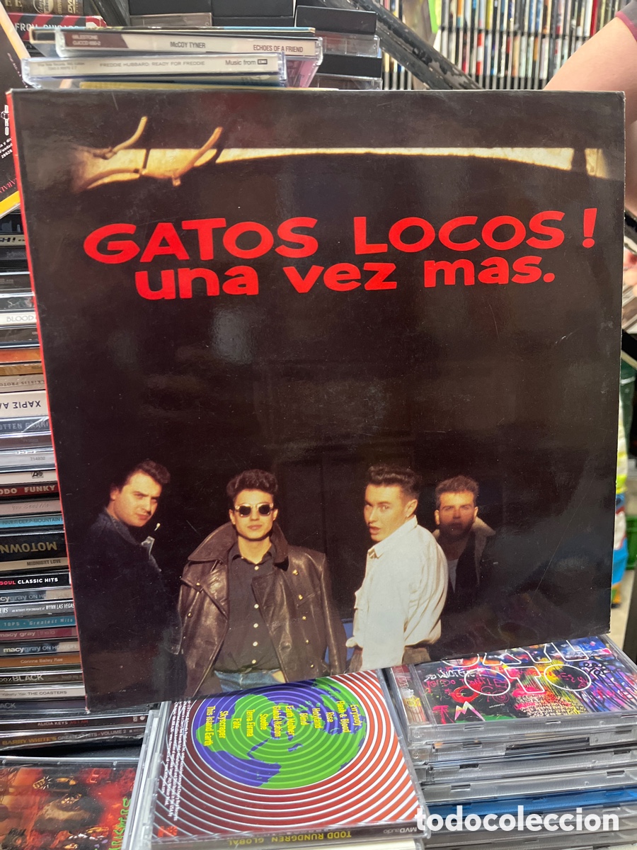 Discos de vinilo: gatos locos una vez m&aacute;s