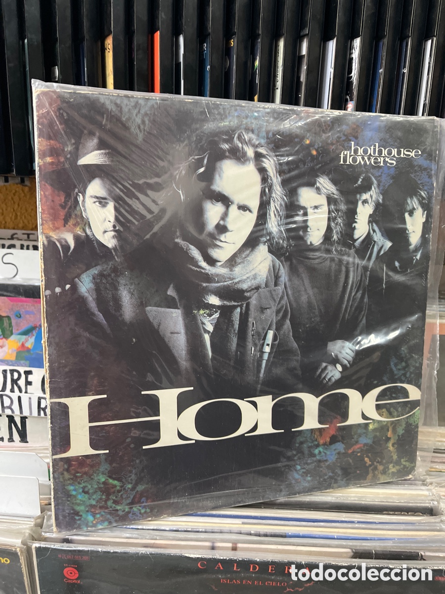 Discos de vinilo: hothouse flowers home