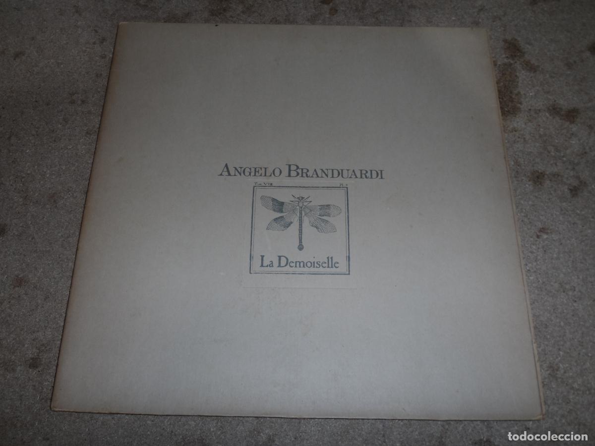 Discos de vinilo: Angelo Branduardi &ndash; La Demoiselle (FRANCE 1979)