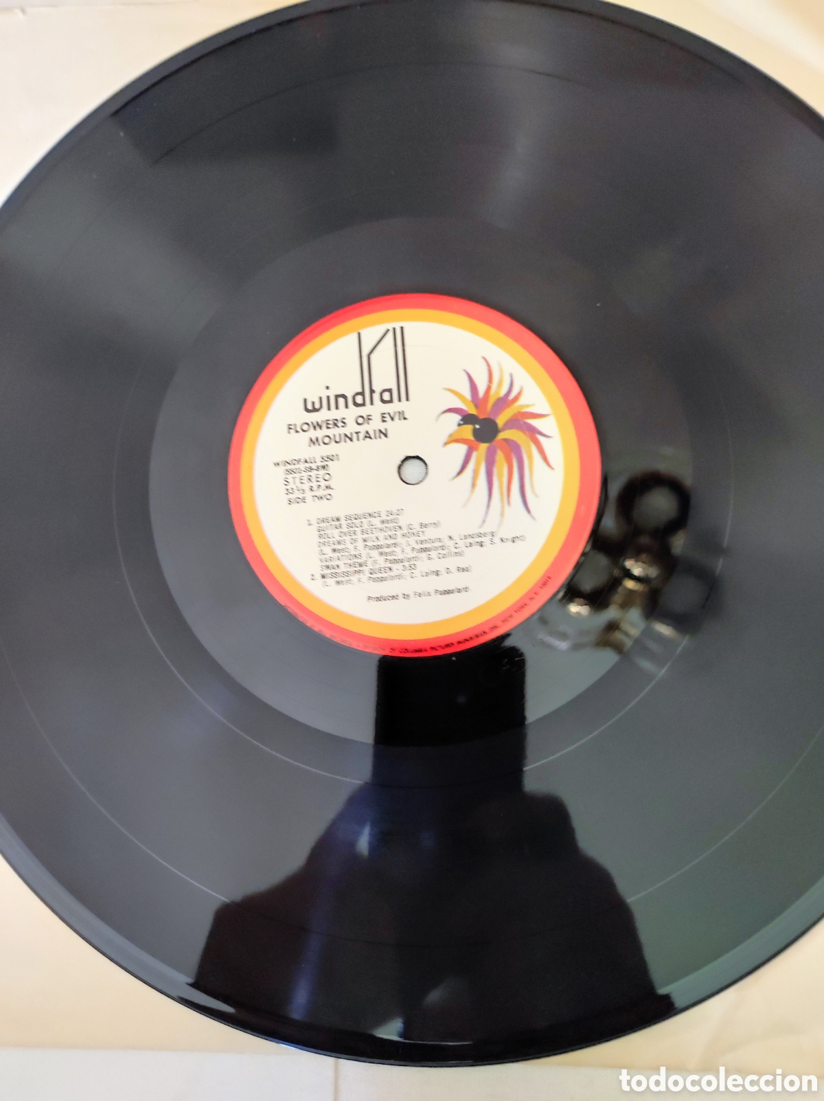 Discos de vinilo: MOUNTAIN - FLOWERS OF EVIL - Foto 4