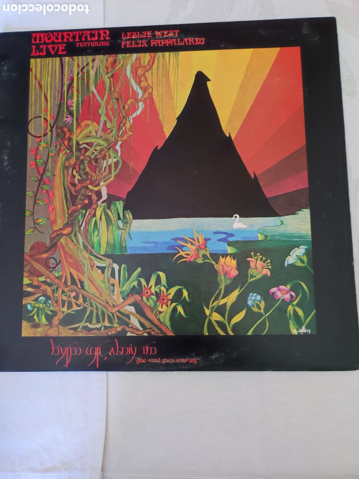 Discos de vinilo: MOUNTAIN - LIVE (THE ROAD GOES EVER ON) - Foto 1