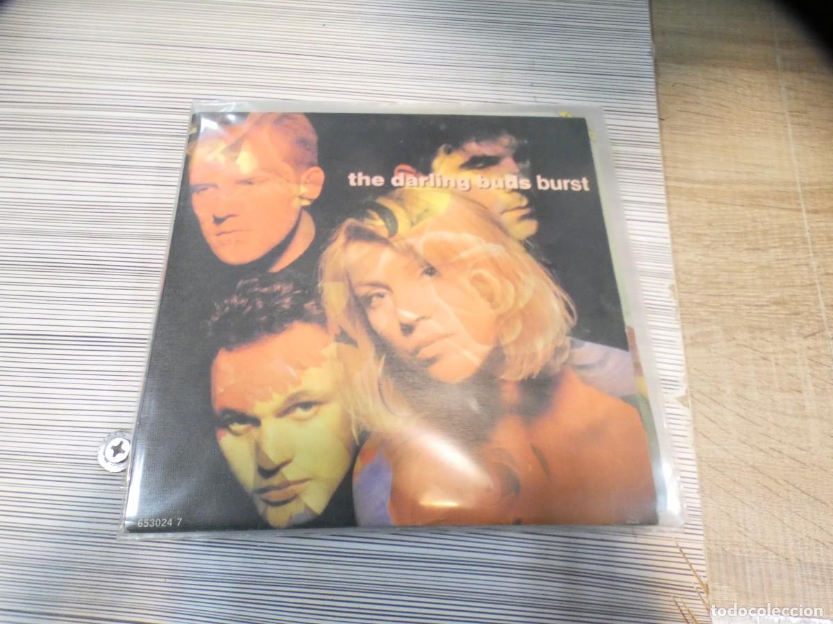 Discos de vinilo: ARKANSAS1980 EXPRO226 VINILO 7&rdquo; ESPA&Ntilde;OL BUEN ESTADO THE DARLING BUDS