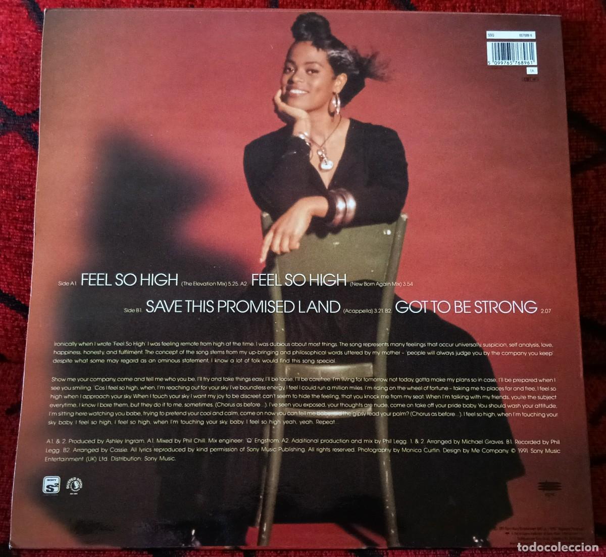 Discos de vinilo: DESREE ** Feel So High ** MAXI SINGLE VINILO 1991 - Foto 2