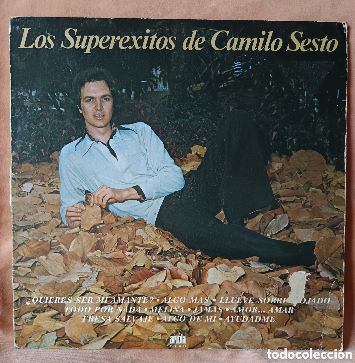 Discos de vinilo: Los superexitos de Camilo Sexto - Vinilo