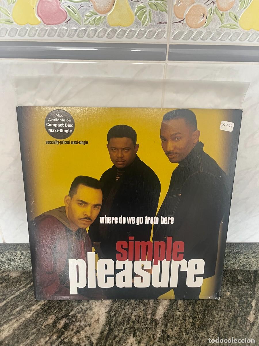 Discos de vinilo: Simple Pleasure Where Do We Go From Here - Foto 1