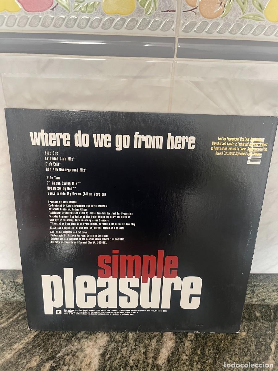 Discos de vinilo: Simple Pleasure Where Do We Go From Here - Foto 2