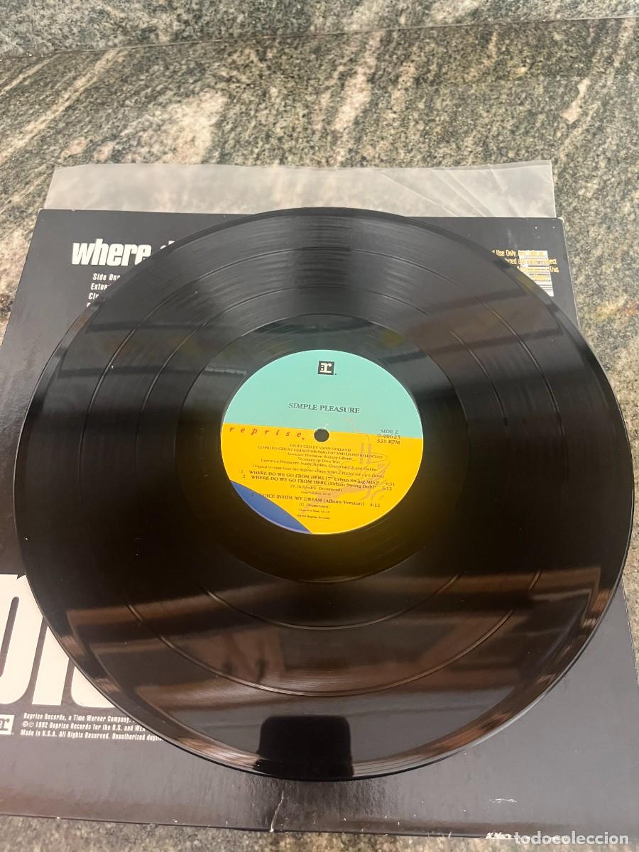 Discos de vinilo: Simple Pleasure Where Do We Go From Here - Foto 3