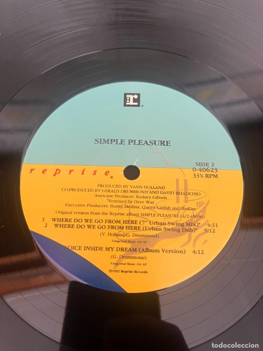 Discos de vinilo: Simple Pleasure Where Do We Go From Here - Foto 4