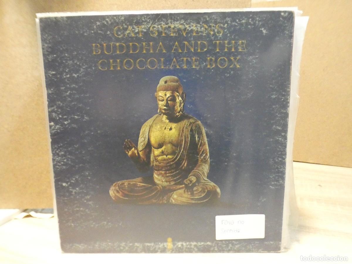 Discos de vinilo: ARKANSAS1980 EXPRO226 VINILO LEVE USO AUN CORRECTO CAT STEVENS RAYA NO SENTIBLE