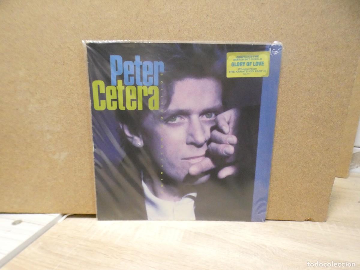 Discos de vinilo: ARKANSAS1980 PACC700 VINILO ESTADO CORRECTO PETER CETERA