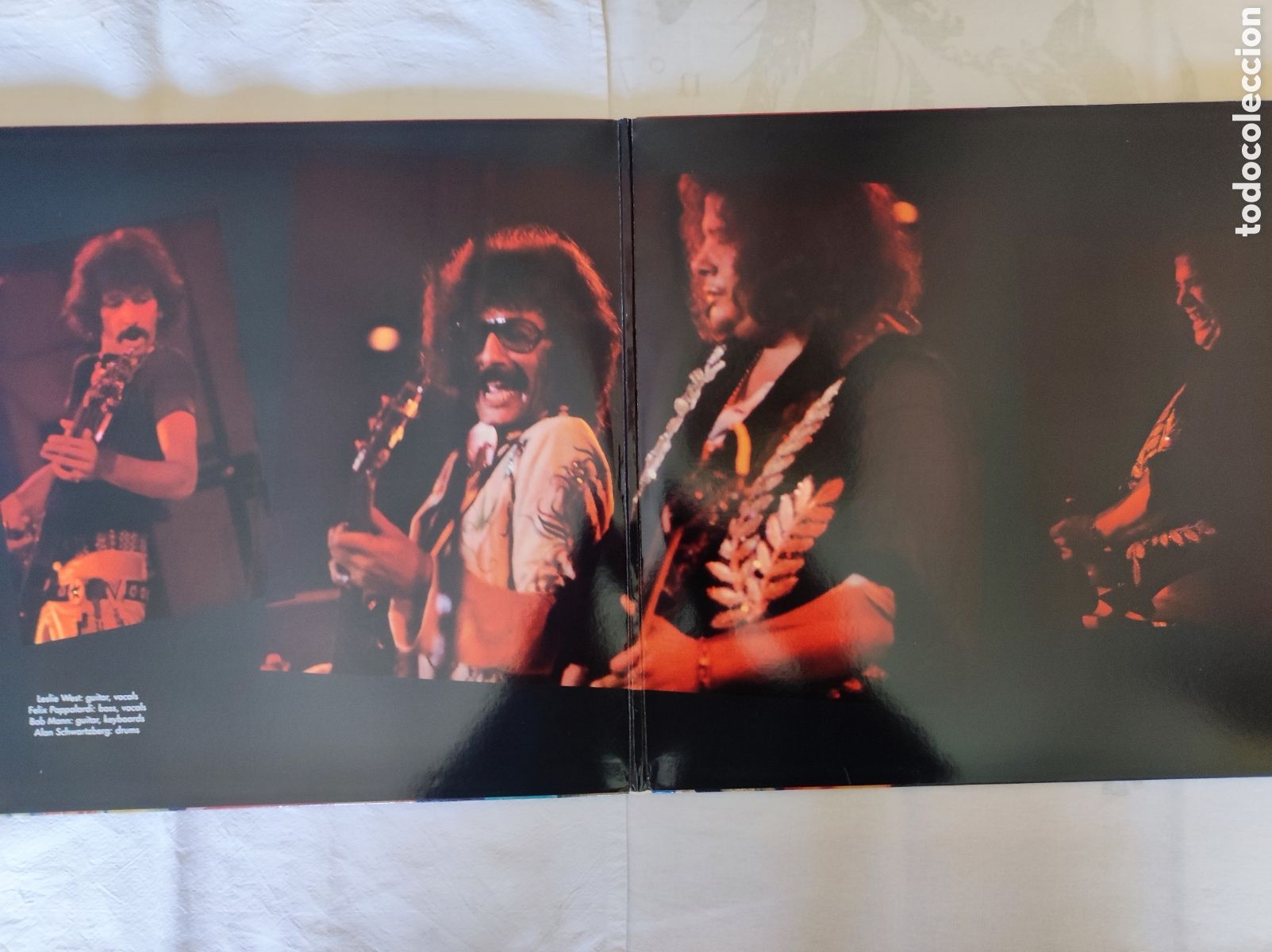 Discos de vinilo: MOUNTAIN - TWIN PEAKS - Foto 3